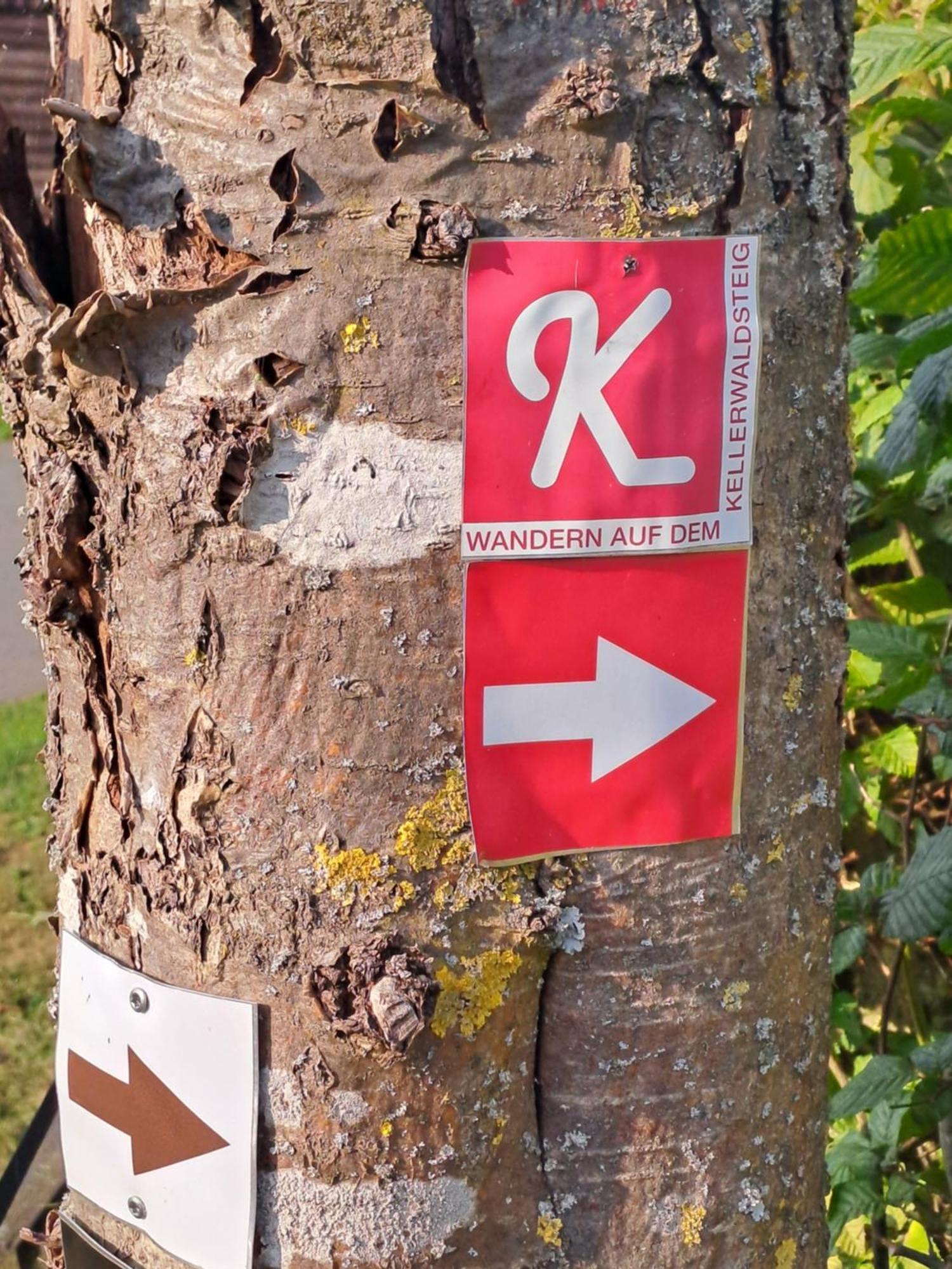 Schaefer Am Nationalpark Kellerwald